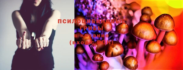 эйфоретик Бронницы