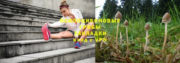 прущий лед Богородск