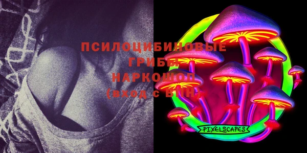 амф Богородицк