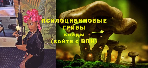прущая мука Бородино