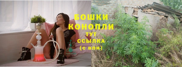 амф Богородицк
