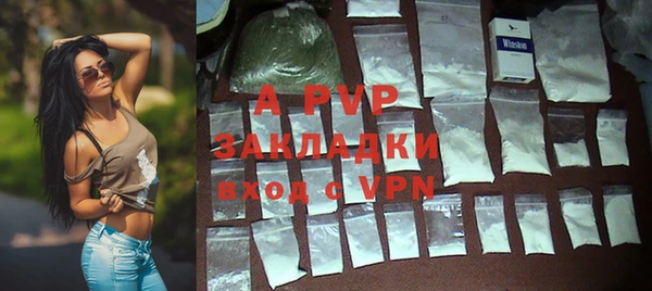 прущая мука Бородино